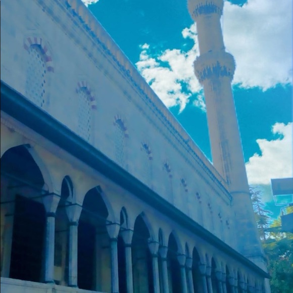 Meet your Posher, Unique Dresses! - Picture 10 of 16